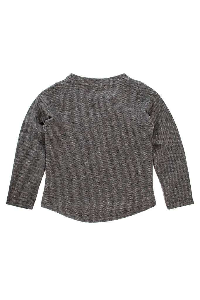 Carrera  ---------    ------------Felpa girocollo - Grigio