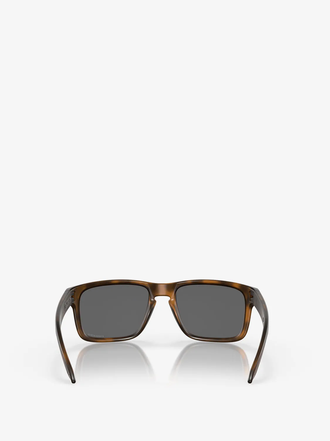 Holbrook matte brown tortoise W / Prizm black