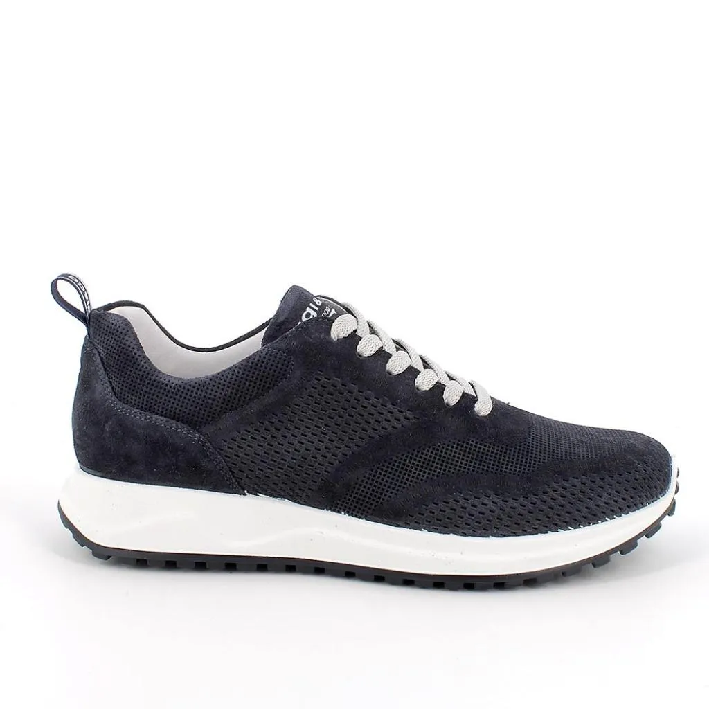 Igi & Co  ---------    ------------Igi&co sneakers uomo 3629011 PE23