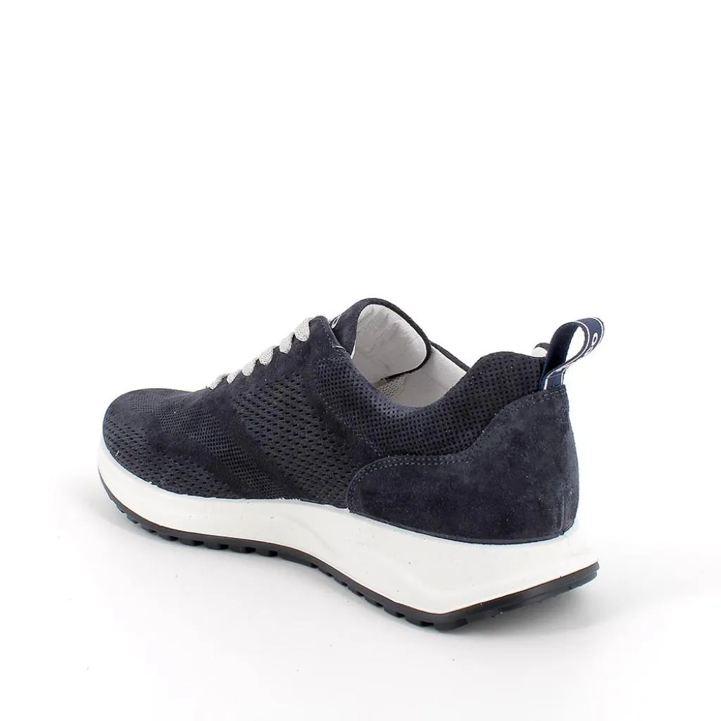 Igi & Co  ---------    ------------Igi&co sneakers uomo 3629011 PE23