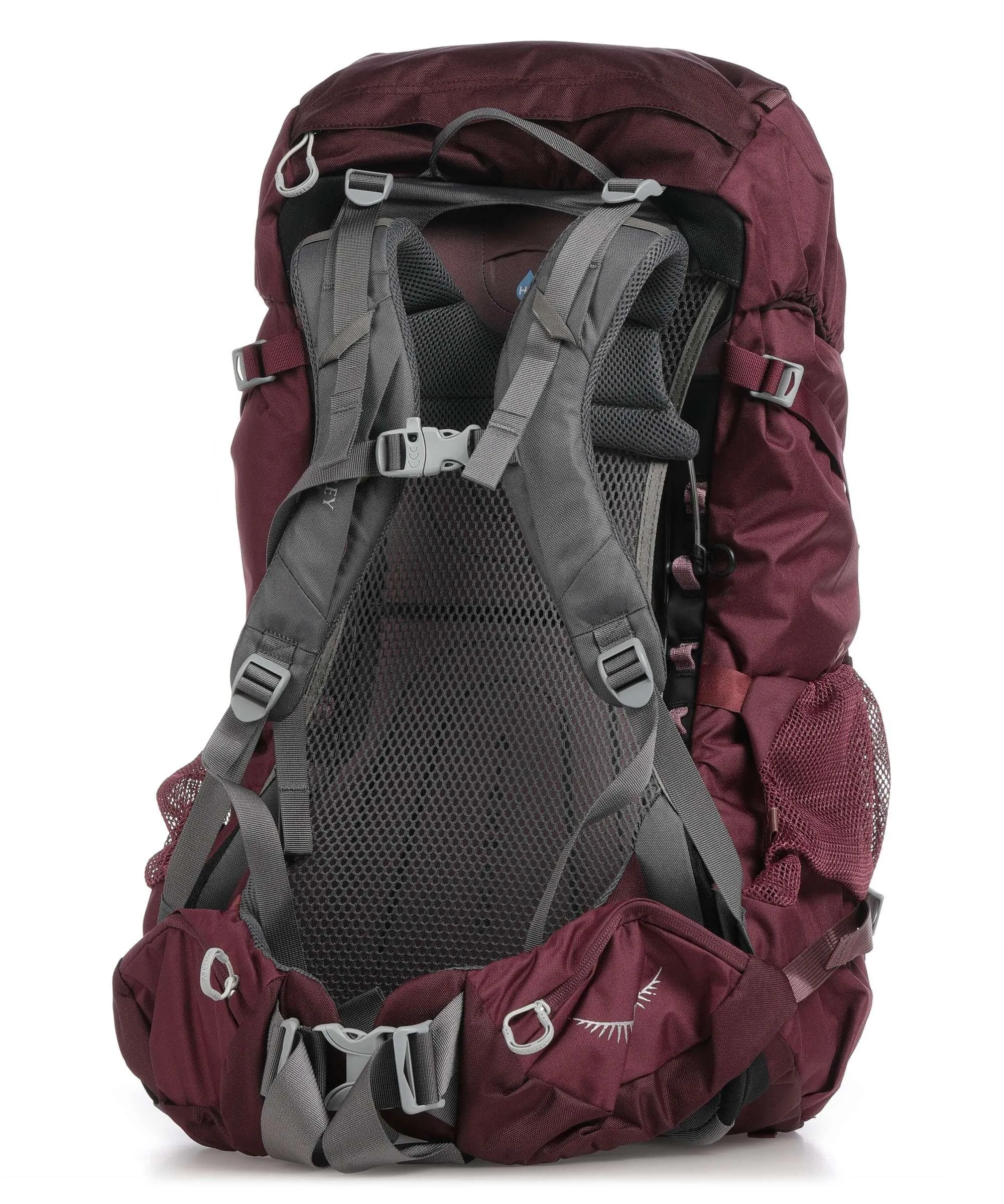  Osprey Renn 65 Zaino da trekking poliestere melanzana  